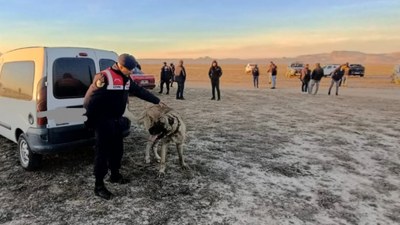 Kayseri'de bahisle köpek dövüştürenlere ceza yağdı