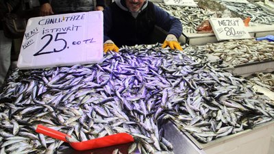 Karadeniz'de istavrit bolluğu yaşanıyor: 25 TL'ye satılıyor