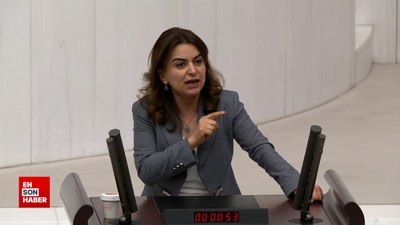 TBMM Genel Kurulu'nda 'Kürdistan' tartışması: DEM Parti Grup Başkanvekili Koçyiğit'in sözleri tepki çekti