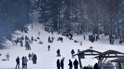 Abant Gölü Milli Parkı'nda ziyaretçi yoğunluğu: Uzun araç kuyrukları oluştu
