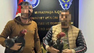 Antalya'da horoz dövüşçülerine operasyon: 5 kişi yakalandı