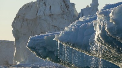 Antarktika'daki deniz buzu alarm veriyor: Kritik seviyeye düştü