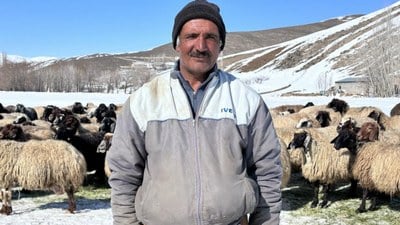 Hakkari'de 40 bin TL'ye çalışacak çoban yok! Rota İran'a çevrildi