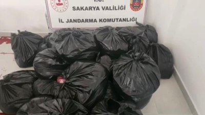 Sakarya'da yakalanan 700 kiloluk at ve eşek etiyle ilgili yeni gelişme: İfadesinde itiraf etti