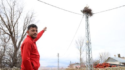 Sivas misafirlerini ağırlamaya başladı! O köyden vazgeçemiyorlar...