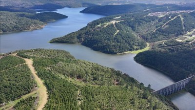 Son yağışlar İstanbul barajlarına can verdi: Doluluk oranı yüzde 80'i aştı