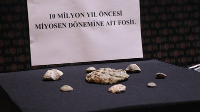 Kayseri'de 10 milyon yıllık fosil ele geçirildi