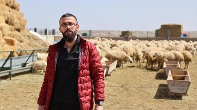 Sivaslı çiftçi, 42 bin TL maaş ve konforlu şartlara rağmen çoban bulamıyor