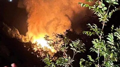 Yalova'da çıkan orman yangınında 2 şüpheli gözaltına alındı