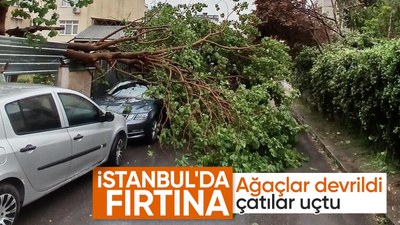 İstanbul'da sağanak yağış ve fırtına etkili oluyor: Ağaçlar devrildi