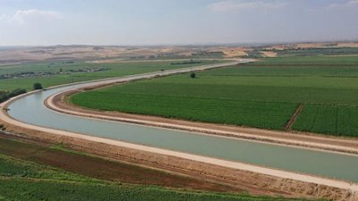 Mardin Ceylanpınar Ana Kanalı'yla, Şanlıurfa ve Mardin'in verimli toprakları suyla buluştu