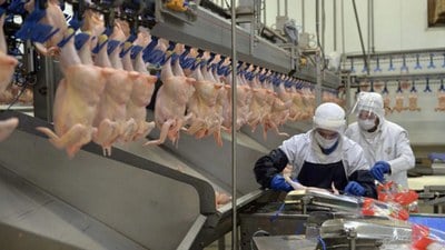 Bakanlık duyurdu: Tavuk etine ihracat sınırlaması getirildi