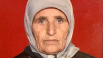 Adana'da sokak köpeklerinin saldırısına uğrayan yaşlı kadın hayatını kaybetti
