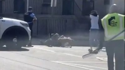 ABD'de adamı pitbullların elinden polis aldı: Tek tek vurdular