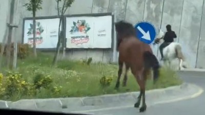 İstanbul trafiğinde atla yolculuk yapan grubun o anları kameralara takıldı