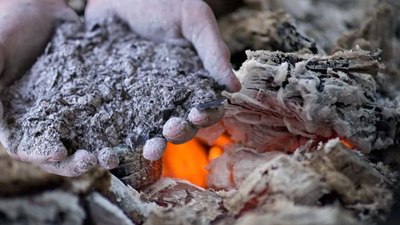 Külü dökenler pişman olacak! Meğer kül hem küften hem de haşerelerden kurtarıyormuş…