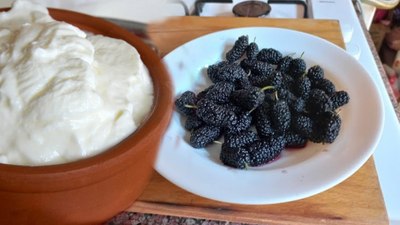 Yoğurda karadut katın, o sorunlara derman bulun