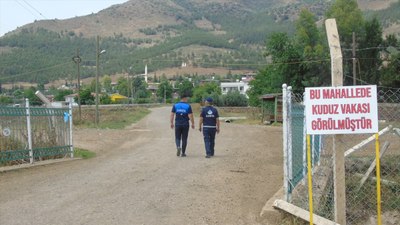 Saldıran köpekler kuduz çıktı: Gaziantep'te 2 mahalle karantinaya alındı