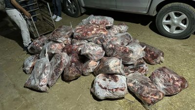Aydın'da 1 ton domuz eti ele geçirildi: 1 kişi gözaltına alındı