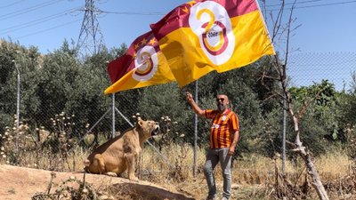 Diyarbakırlı taraftar, Galatasaray’ın şampiyonluğunu aslanlarıyla kutladı