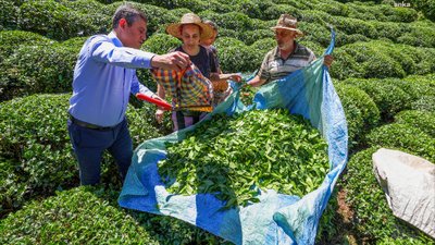 Özgür Özel, Rize’de çay üreticilerini ziyaret etti