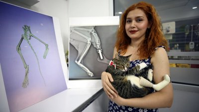 Aydın'da köpek saldırısında ayağını kaybeden kediye protez takıldı