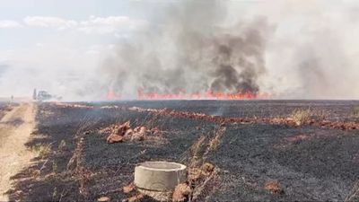 Kahramanmaraş'ta buğday tarlası alevlere teslim oldu