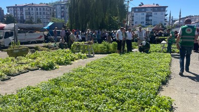 Rize'de ata tohumlarından üretilen 40 bin sebze fidanı dağıtıldı