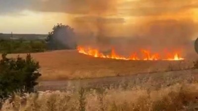 Edirne'de buğday tarlasında yangın