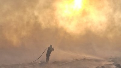 Mardin'de 10 bin dönüm ekili arazi yandı