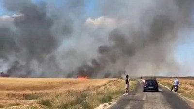 Edirne'de tarla yangını: 50 dönüm buğday küle döndü