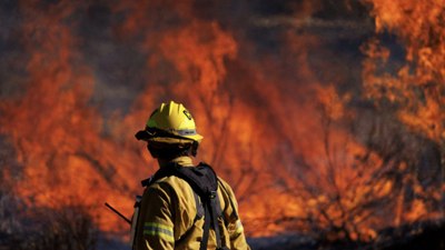 Los Angeles'ta çıkan orman yangınında 1200 kişi tahliye edildi