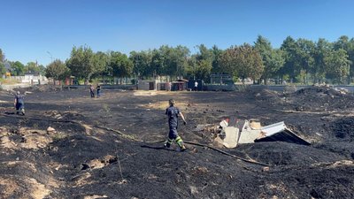 Eskişehir'de sokak hayvanları besleme alanında yangın: 30 kulübe yandı