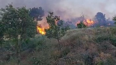 Denizli'de orman yangını büyümeden söndürüldü