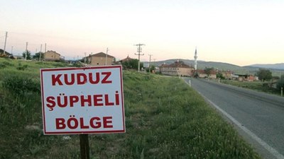 Niğde'de kuduz karantinası: Sahipsiz köpek bir kişiyi ısırdı