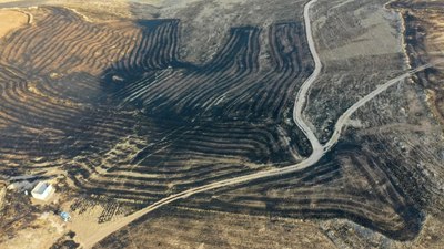 Diyarbakır ve Mardin'deki yangınlarda bilanço artıyor