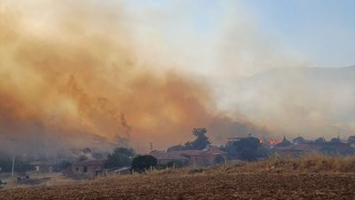 Manisa'da çıkan orman yangını kontrol altına alındı