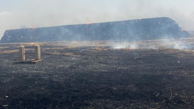 Mardin'de aynı tarlada dördüncü yangın: Bin 500 ton saman küle döndü