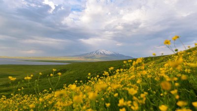 Bitlis yeşile büründü: Sütey Yaylası kendine hayran bıraktı