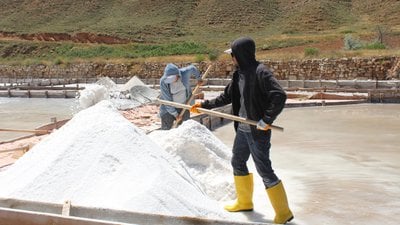 Sivas'ta 84 mineralli Fadlum tuzunun hasadına başlandı