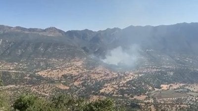MSB: PKK'lı teröristler ormanları yakarak gizlenmeye çalışıyor