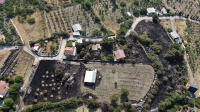 İzmir'deki orman yangının boyutu ortaya çıktı