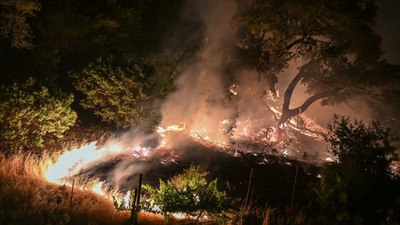 California'da orman yangını: 26 binden fazla kişi tahliye edildi