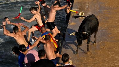 İspanya'da boğaların denize atlatıldığı festivale ilk kez sınırlama getirildi