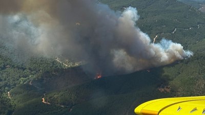 Bergama'da orman yangını