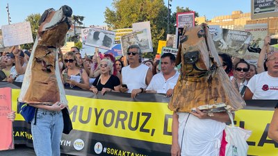 Başıboş sokak köpeği düzenlemesine karşı protesto: Köpek kılığına girdiler