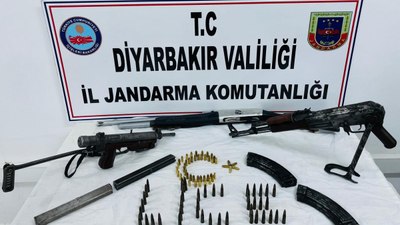 Diyarbakır’da 10 bin kök kenevir ele geçirildi