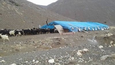 Van'da çobanlar arasında kavga: 1 ölü, 3 yaralı