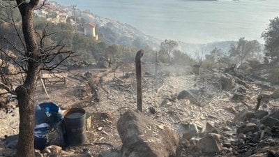 İzmir'de orman yangını: Bir baraka küle döndü