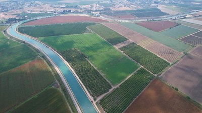 Adana'da kuraklık: Çiftçilere 'Su yok ekim yapmayın' uyarısı